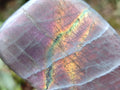 Polished Rare Purple Sunset Flash Labradorite Standing Free Forms x 12 From Madagascar - Toprock Gemstones and Minerals 