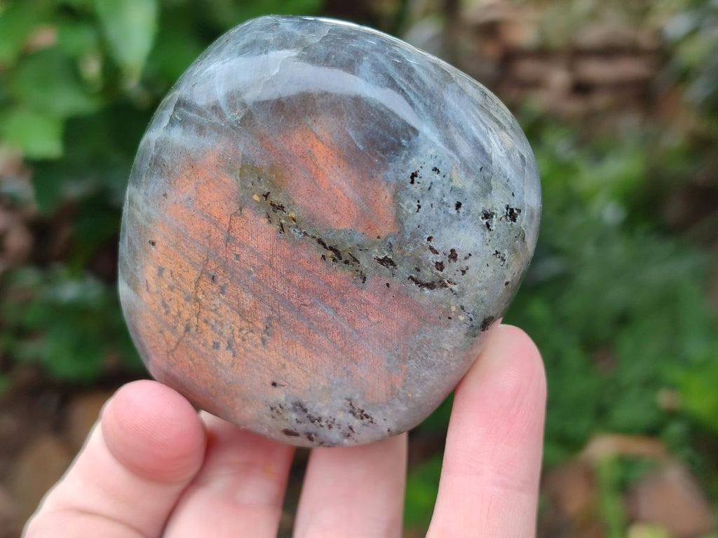 Polished Rare Purple Sunset Flash Labradorite Standing Free Forms x 12 From Madagascar - Toprock Gemstones and Minerals 