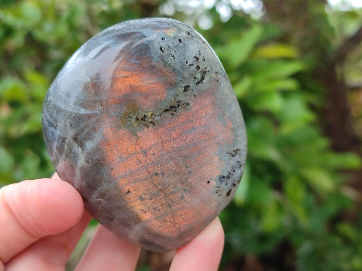 Polished Rare Purple Sunset Flash Labradorite Standing Free Forms x 12 From Madagascar - Toprock Gemstones and Minerals 