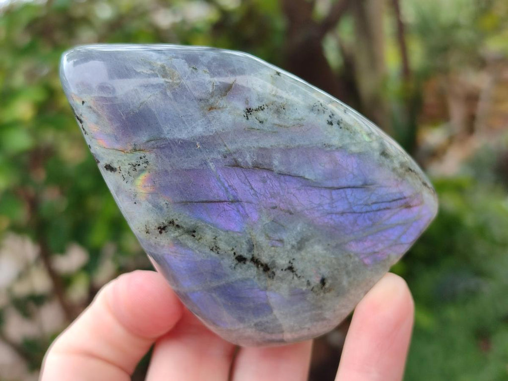 Polished Rare Purple Sunset Flash Labradorite Standing Free Forms x 12 From Madagascar - Toprock Gemstones and Minerals 