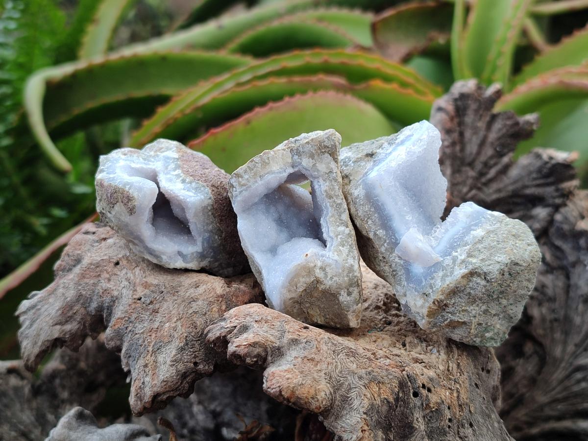 Natural Blue Lace Agate Geode Specimens x 35 From Nsanje, Malawi - Toprock Gemstones and Minerals 