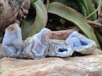Natural Blue Lace Agate Geode Specimens x 35 From Nsanje, Malawi - Toprock Gemstones and Minerals 