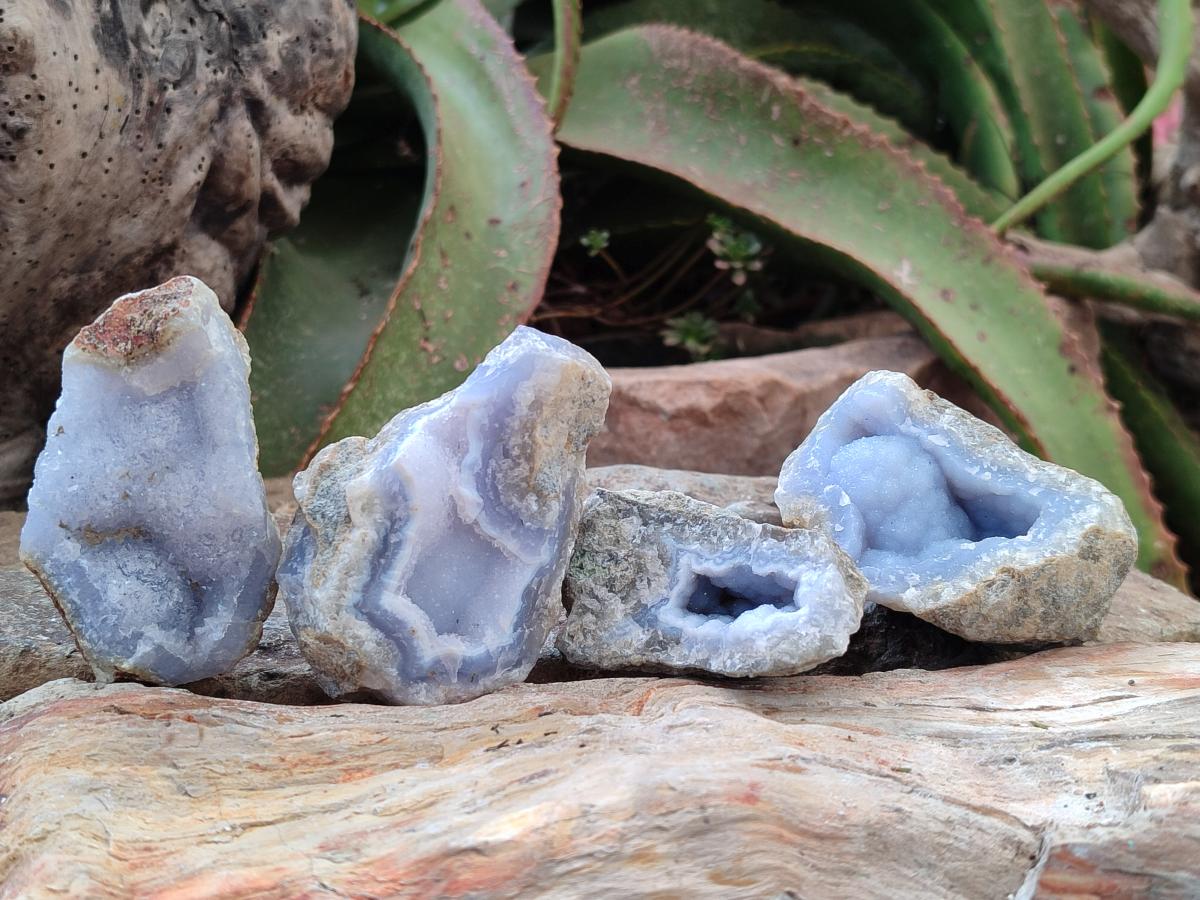 Natural Blue Lace Agate Geode Specimens x 35 From Nsanje, Malawi - Toprock Gemstones and Minerals 