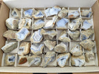 Natural Blue Lace Agate Geode Specimens x 35 From Nsanje, Malawi - Toprock Gemstones and Minerals 