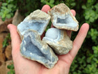 Natural Blue Lace Agate Geode Specimens x 35 From Nsanje, Malawi - Toprock Gemstones and Minerals 