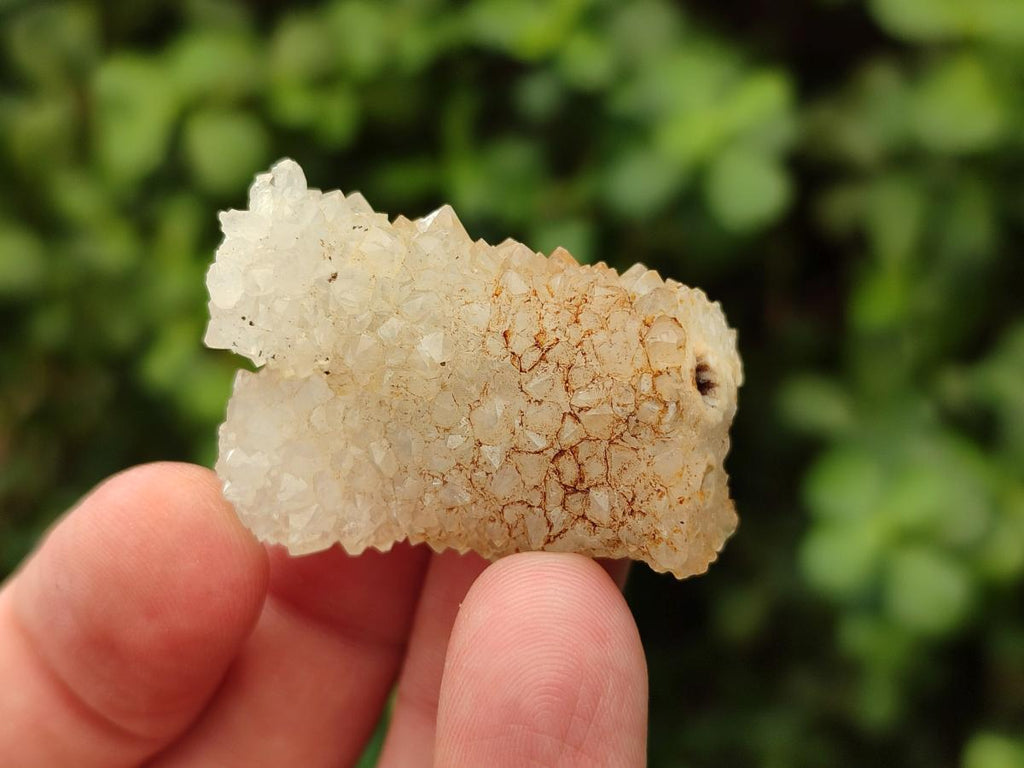 Natural Drusy Snow Finger Crystals x 70 From Albert's Mountain, Lesotho - Toprock Gemstones and Minerals 