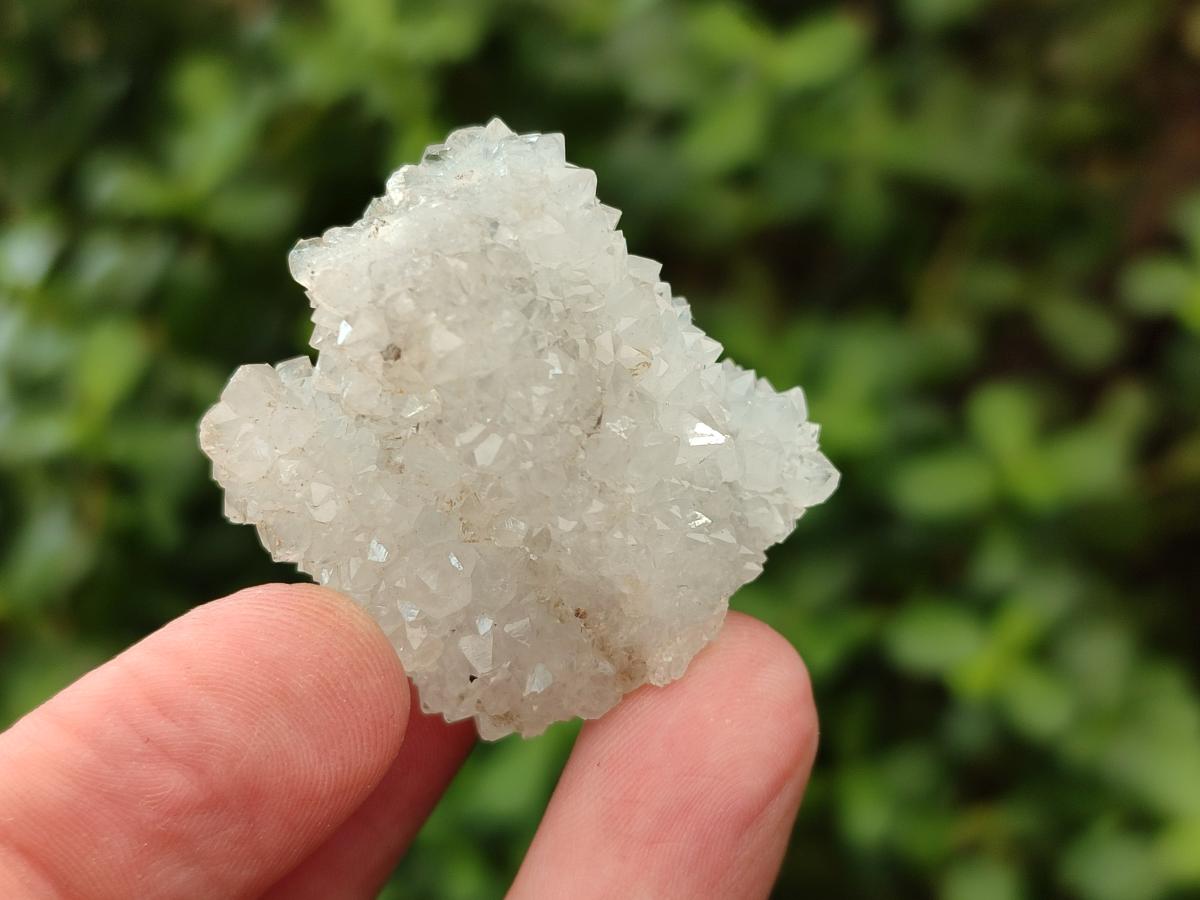 Natural Drusy Snow Finger Crystals x 70 From Albert's Mountain, Lesotho - Toprock Gemstones and Minerals 