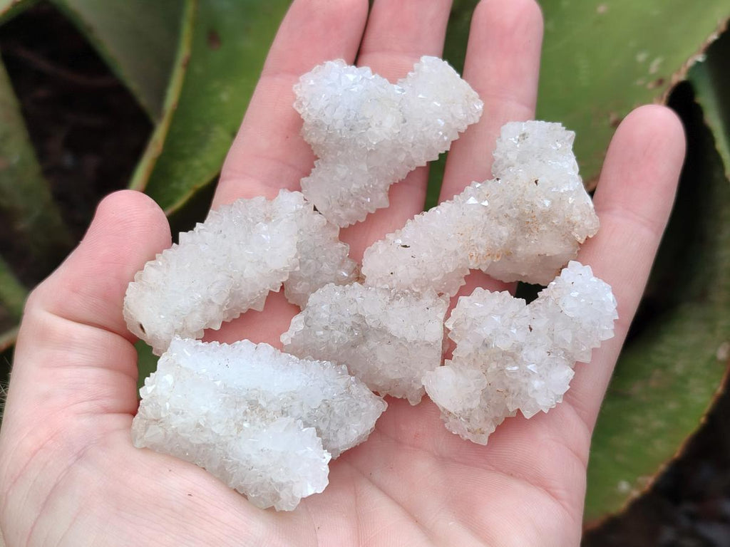Natural Drusy Snow Finger Crystals x 70 From Albert's Mountain, Lesotho - Toprock Gemstones and Minerals 
