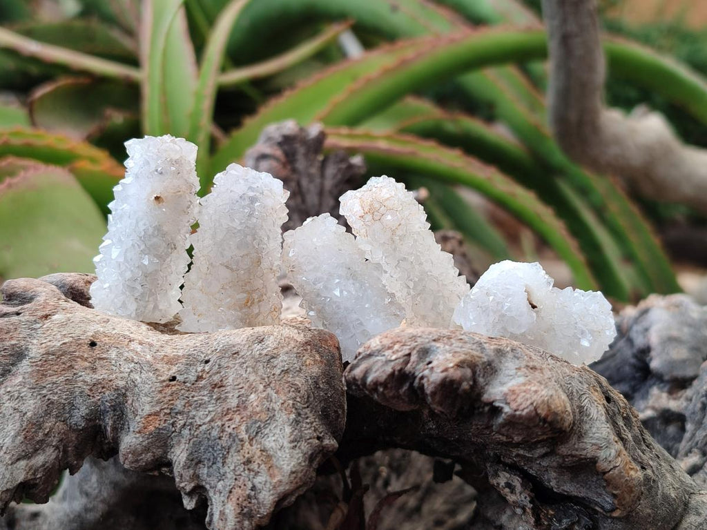 Natural Drusy Snow Finger Crystals x 70 From Albert's Mountain, Lesotho - Toprock Gemstones and Minerals 