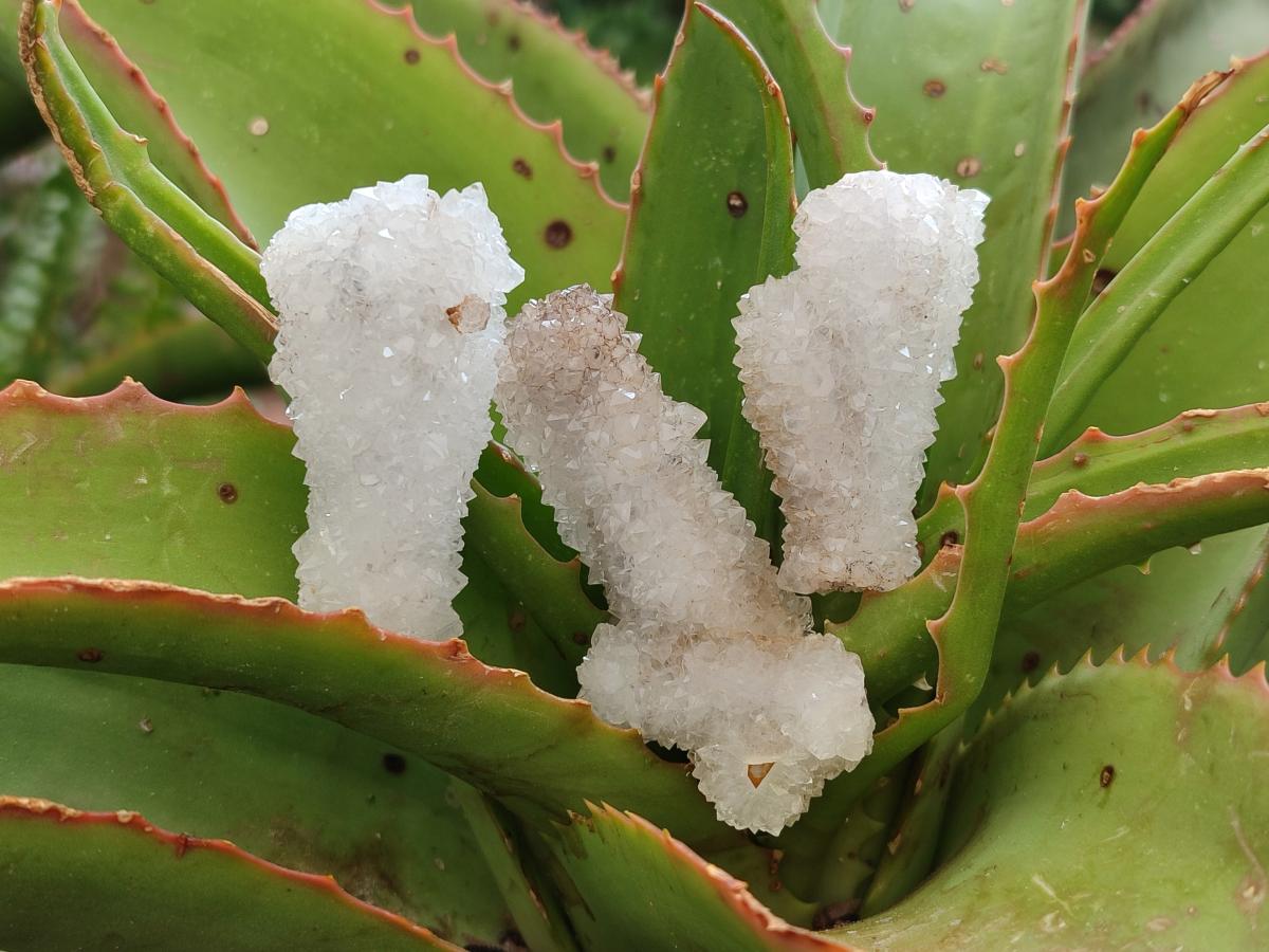 Natural Drusy Snow Finger Crystals x 70 From Albert's Mountain, Lesotho - Toprock Gemstones and Minerals 