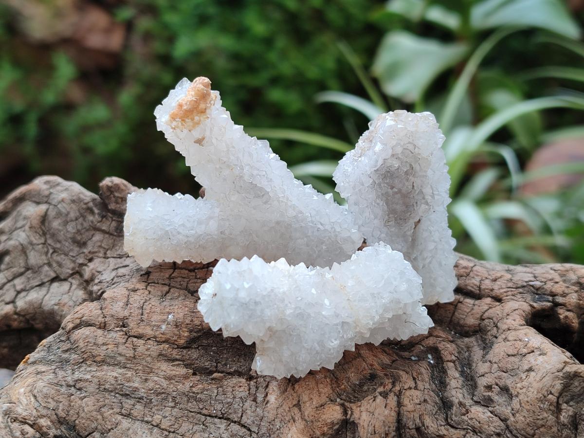 Natural Drusy Snow Finger Crystals x 70 From Albert's Mountain, Lesotho - Toprock Gemstones and Minerals 