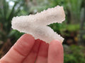Natural Drusy Snow Finger Crystals x 70 From Albert's Mountain, Lesotho - Toprock Gemstones and Minerals 
