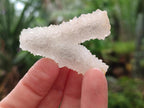 Natural Drusy Snow Finger Crystals x 70 From Albert's Mountain, Lesotho - Toprock Gemstones and Minerals 