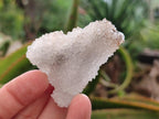 Natural Drusy Snow Finger Crystals x 70 From Albert's Mountain, Lesotho - Toprock Gemstones and Minerals 