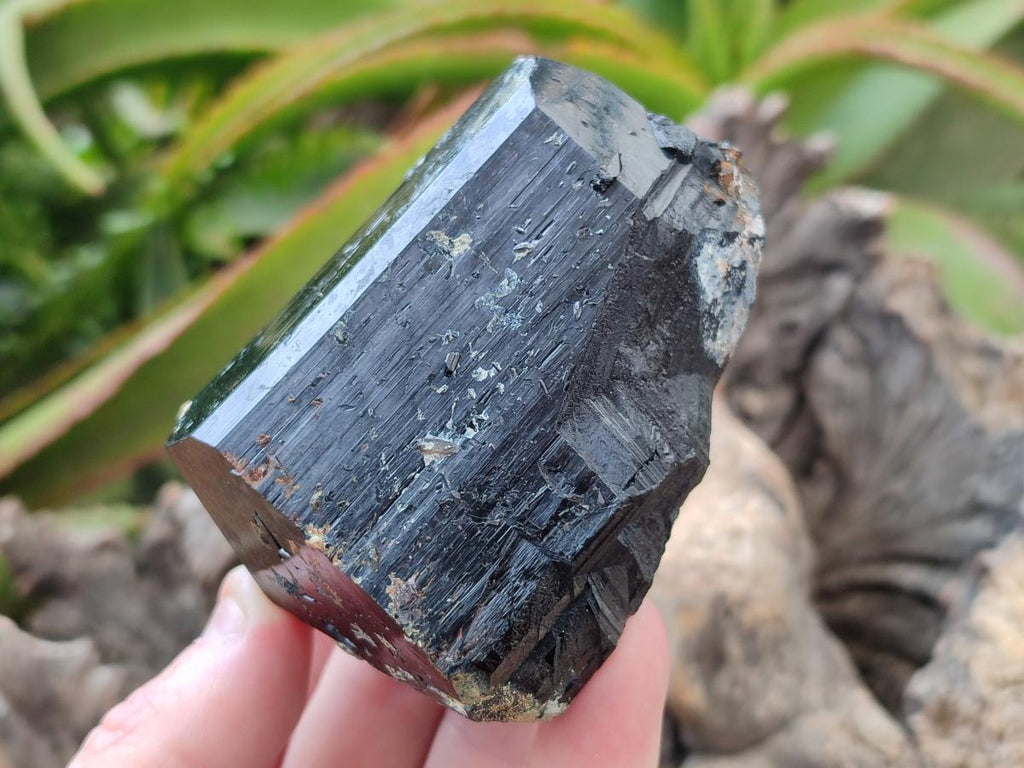 Natural Schorl Black Tourmaline with Smokey Quartz and Hyalite Opal x 6 From Erongo, Namibia - Toprock Gemstones and Minerals 