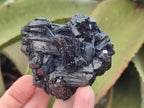 Natural Schorl Black Tourmaline with Smokey Quartz and Hyalite Opal x 6 From Erongo, Namibia - Toprock Gemstones and Minerals 