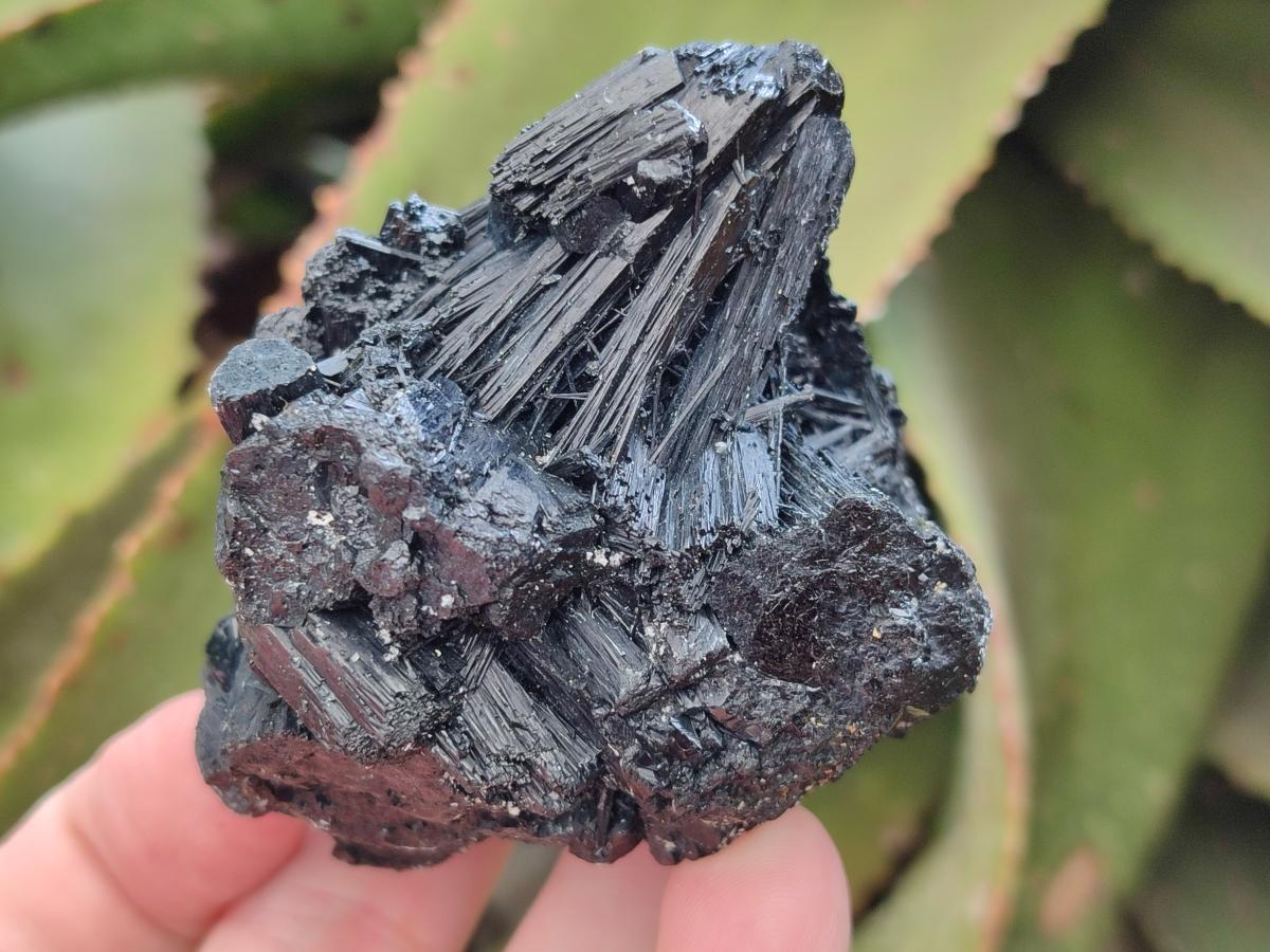 Natural Schorl Black Tourmaline with Smokey Quartz and Hyalite Opal x 6 From Erongo, Namibia - Toprock Gemstones and Minerals 