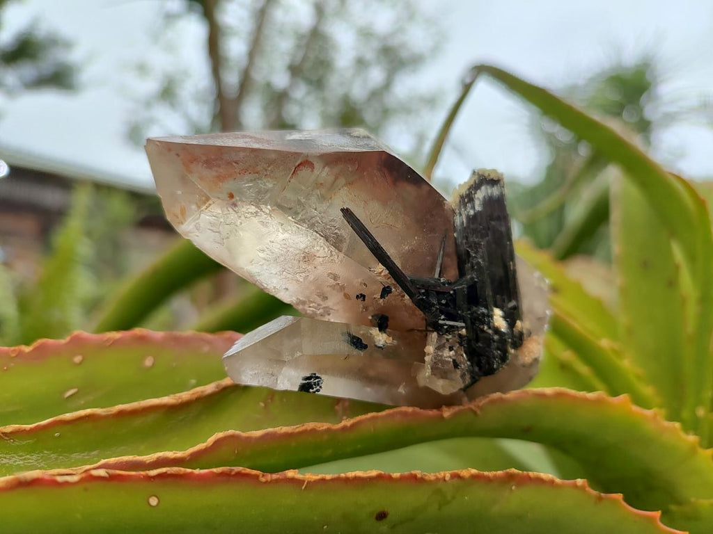 Natural Schorl Black Tourmaline with Smokey Quartz and Hyalite Opal x 6 From Erongo, Namibia - Toprock Gemstones and Minerals 