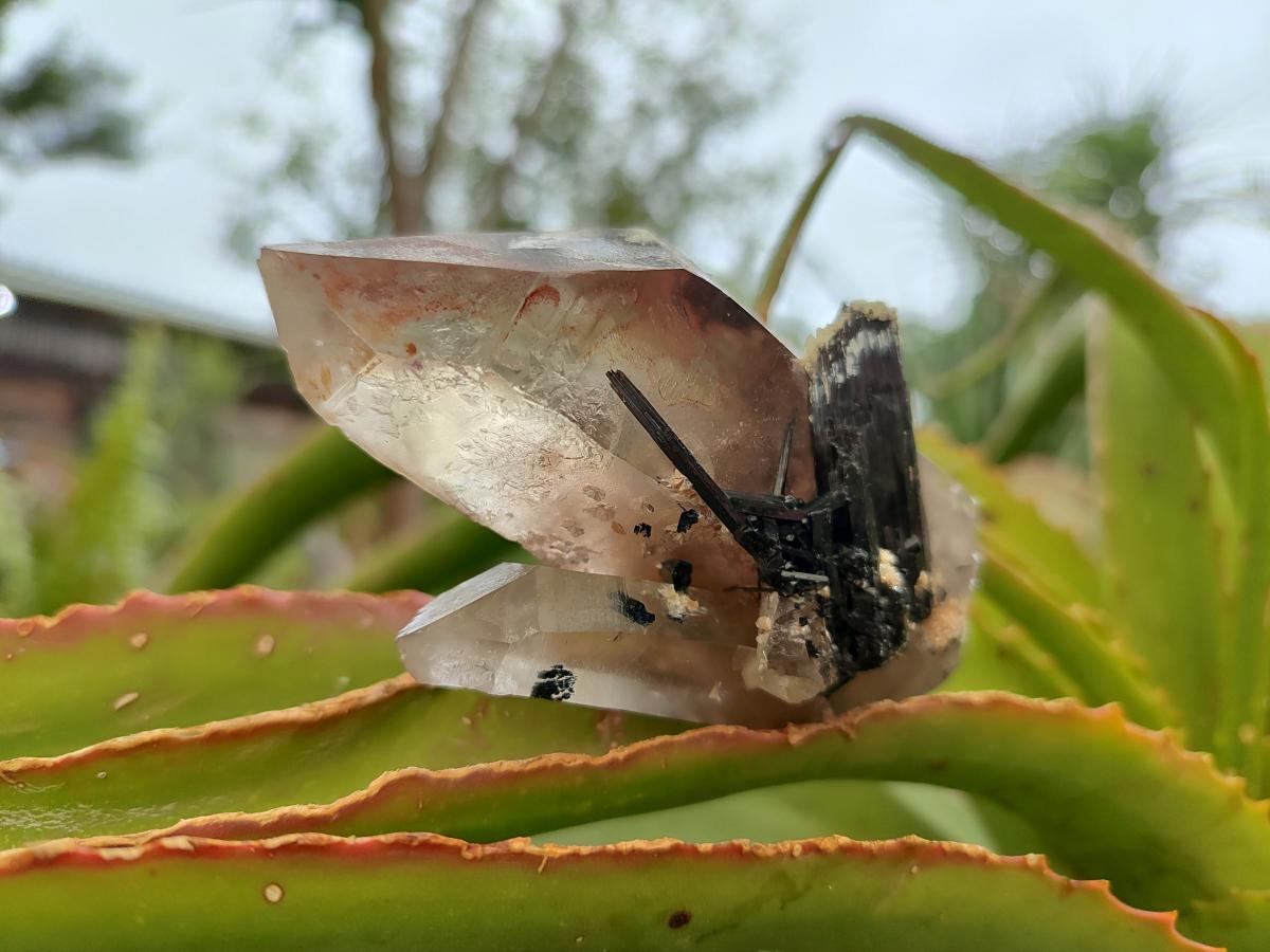 Natural Schorl Black Tourmaline with Smokey Quartz and Hyalite Opal x 6 From Erongo, Namibia - Toprock Gemstones and Minerals 