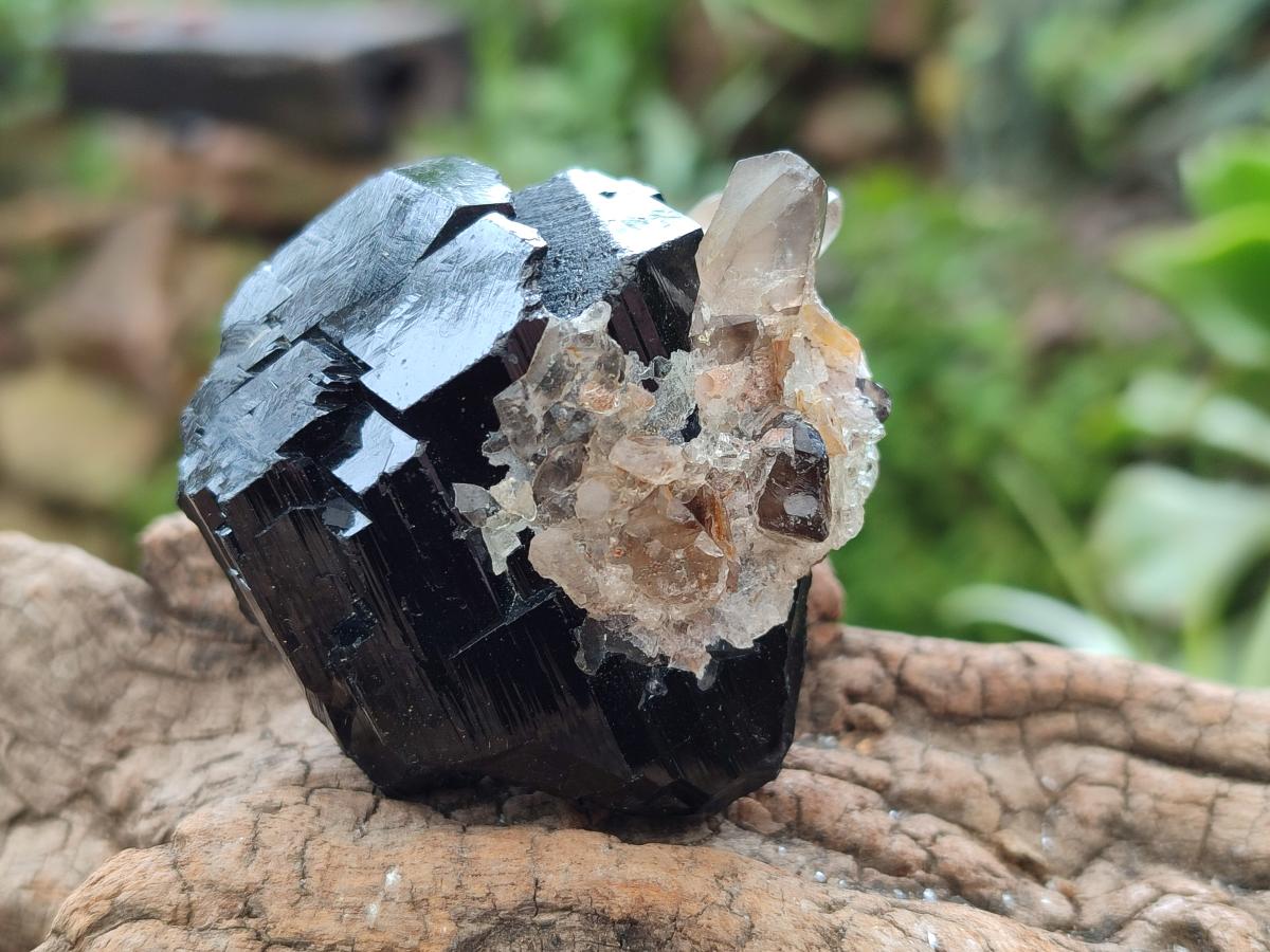 Natural Schorl Black Tourmaline with Smokey Quartz and Hyalite Opal x 6 From Erongo, Namibia - Toprock Gemstones and Minerals 