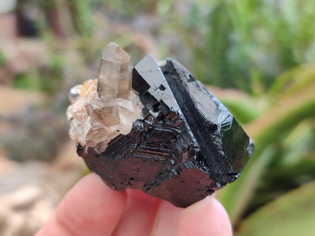 Natural Schorl Black Tourmaline with Smokey Quartz and Hyalite Opal x 6 From Erongo, Namibia - Toprock Gemstones and Minerals 