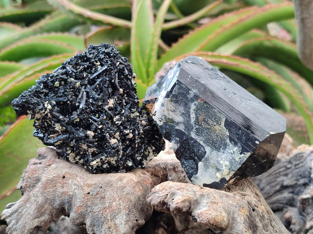 Natural Schorl Black Tourmaline with Smokey Quartz and Hyalite Opal x 6 From Erongo, Namibia - Toprock Gemstones and Minerals 