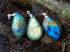 Polished Labradorite Pendants x 20 From Madagascar - Toprock Gemstones and Minerals 