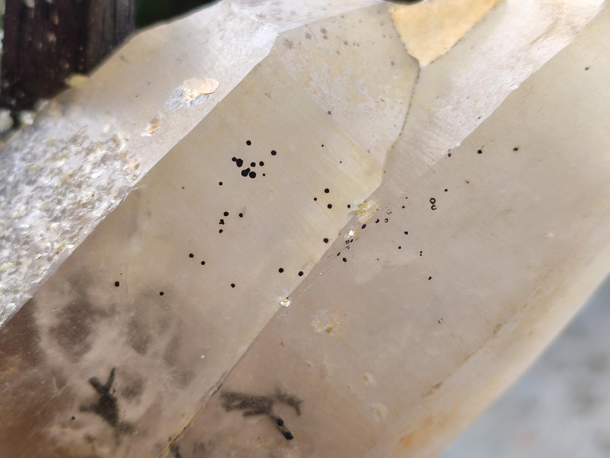 Natural Smokey Quartz Crystals with Black Tourmaline x 2 From Erongo, Namibia - Toprock Gemstones and Minerals 