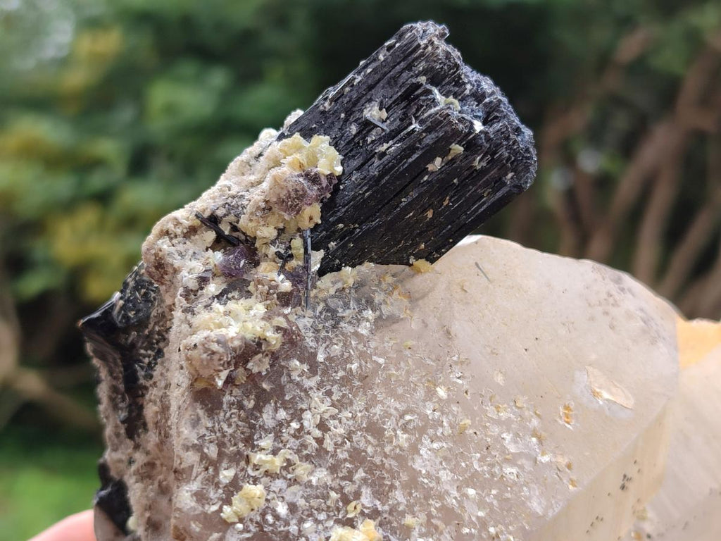 Natural Smokey Quartz Crystals with Black Tourmaline x 2 From Erongo, Namibia - Toprock Gemstones and Minerals 