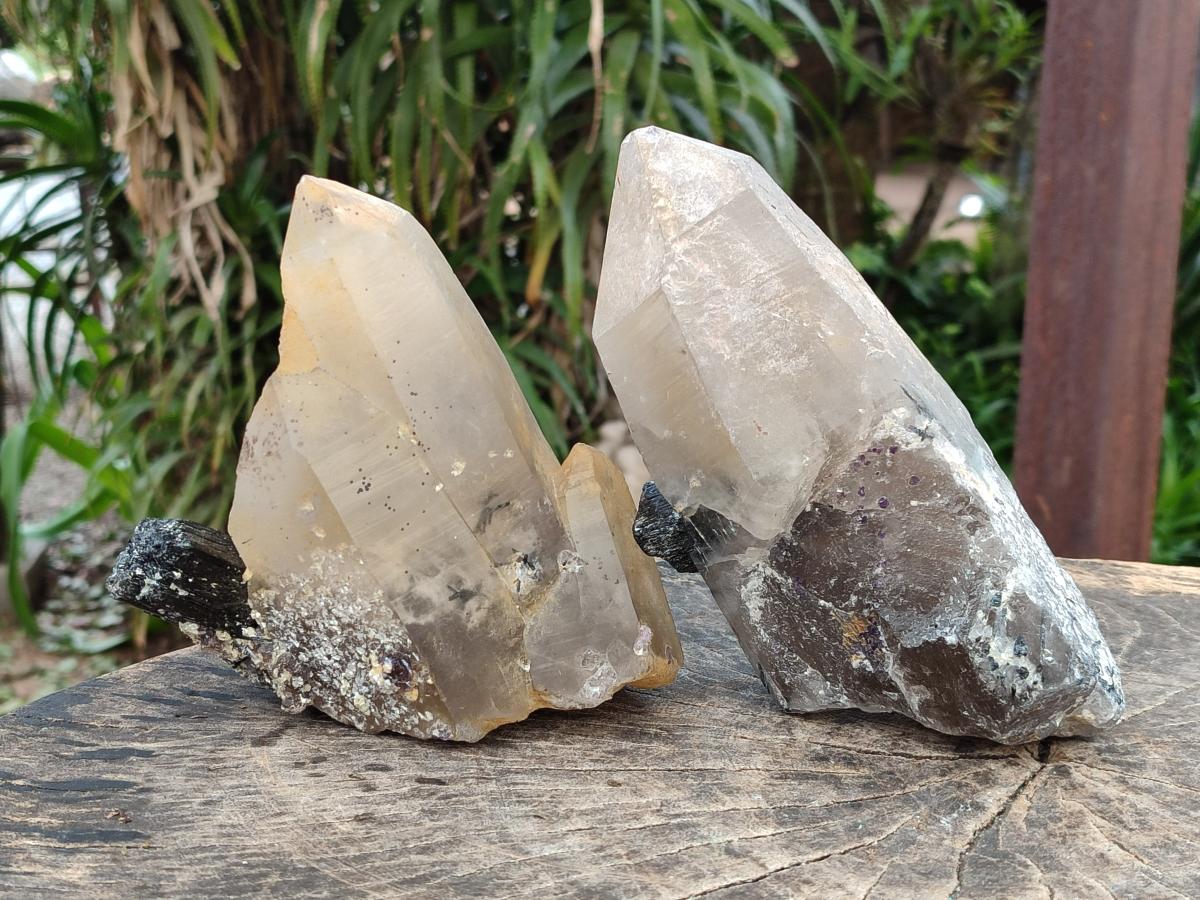 Natural Smokey Quartz Crystals with Black Tourmaline x 2 From Erongo, Namibia - Toprock Gemstones and Minerals 