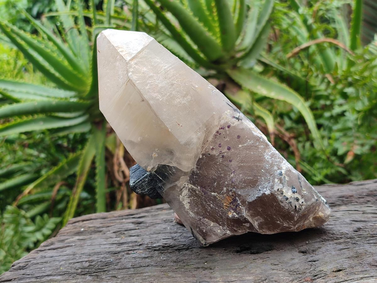 Natural Smokey Quartz Crystals with Black Tourmaline x 2 From Erongo, Namibia - Toprock Gemstones and Minerals 
