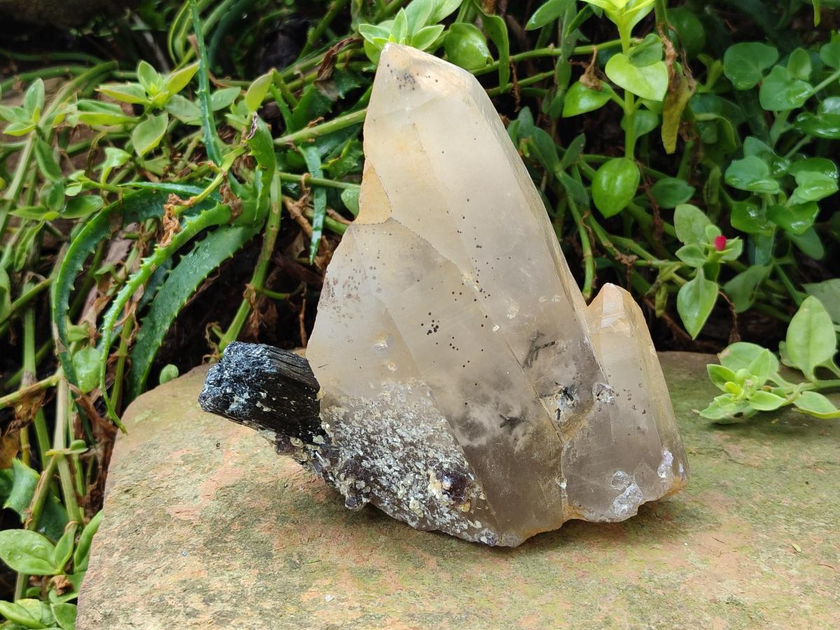 Natural Smokey Quartz Crystals with Black Tourmaline x 2 From Erongo, Namibia - Toprock Gemstones and Minerals 