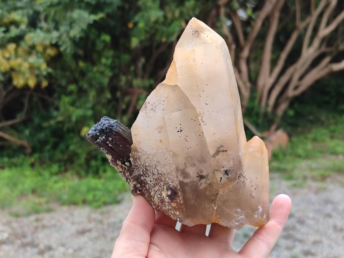 Natural Smokey Quartz Crystals with Black Tourmaline x 2 From Erongo, Namibia - Toprock Gemstones and Minerals 