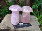 Polished Gemmy Rose Quartz Mushrooms x 3 From Madagascar - Toprock Gemstones and Minerals 