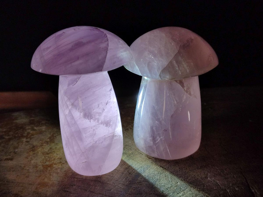 Polished Gemmy Rose Quartz Mushrooms x 3 From Madagascar - Toprock Gemstones and Minerals 