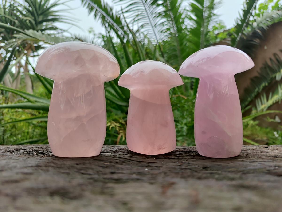 Polished Gemmy Rose Quartz Mushrooms x 3 From Madagascar - Toprock Gemstones and Minerals 