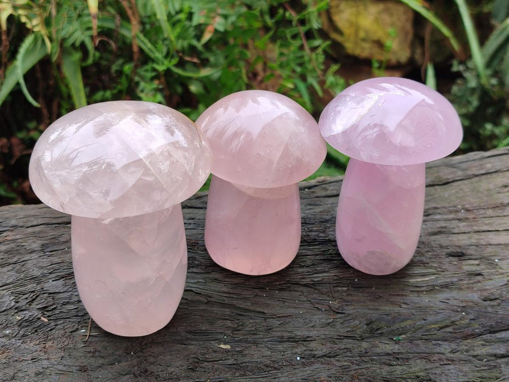 Polished Gemmy Rose Quartz Mushrooms x 3 From Madagascar - Toprock Gemstones and Minerals 