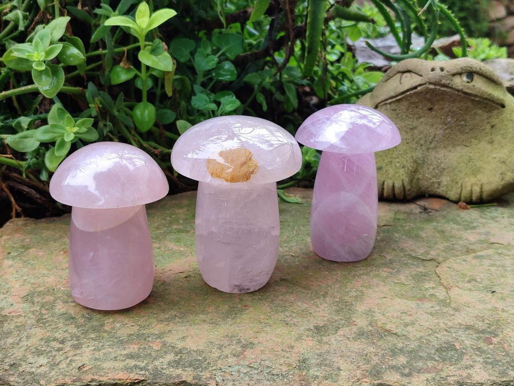 Polished Gemmy Rose Quartz Mushrooms x 3 From Madagascar - Toprock Gemstones and Minerals 