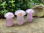 Polished Gemmy Rose Quartz Mushrooms x 3 From Madagascar - Toprock Gemstones and Minerals 