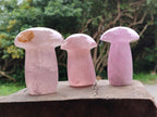 Polished Gemmy Rose Quartz Mushrooms x 3 From Madagascar - Toprock Gemstones and Minerals 