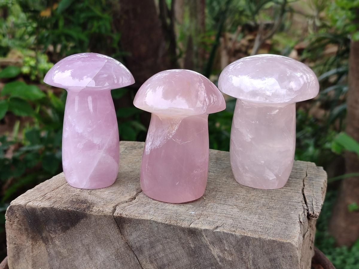 Polished Gemmy Rose Quartz Mushrooms x 3 From Madagascar - Toprock Gemstones and Minerals 