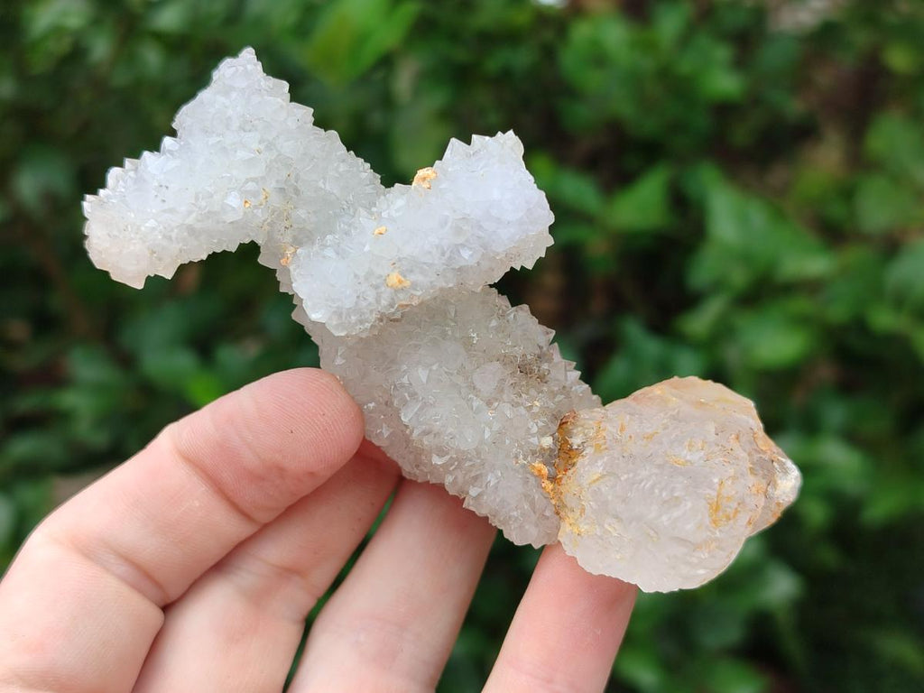 Natural Drusy Snow Finger Quartz Coated Clusters x 12 From Albert's Mountain, Lesotho - Toprock Gemstones and Minerals 