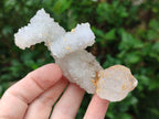 Natural Drusy Snow Finger Quartz Coated Clusters x 12 From Albert's Mountain, Lesotho - Toprock Gemstones and Minerals 