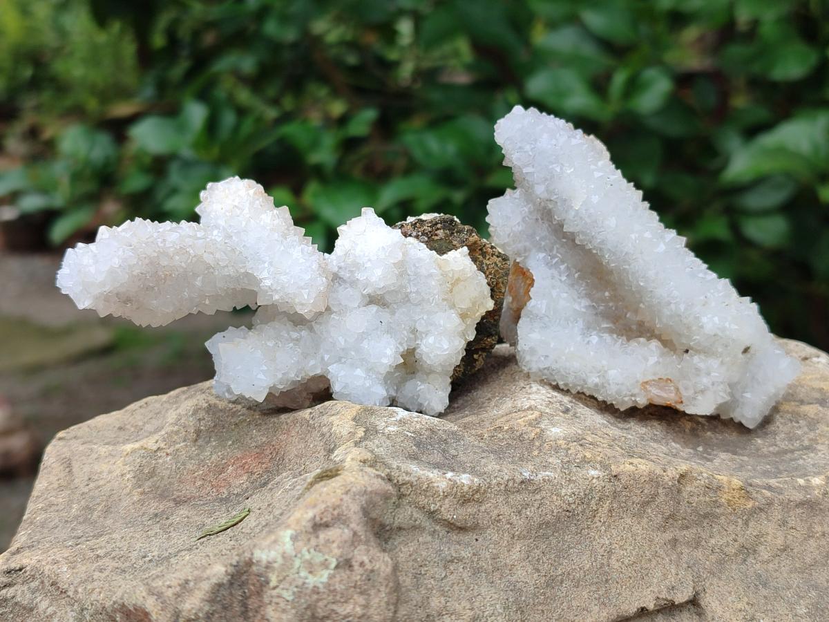 Natural Drusy Snow Finger Quartz Coated Clusters x 12 From Albert's Mountain, Lesotho - Toprock Gemstones and Minerals 