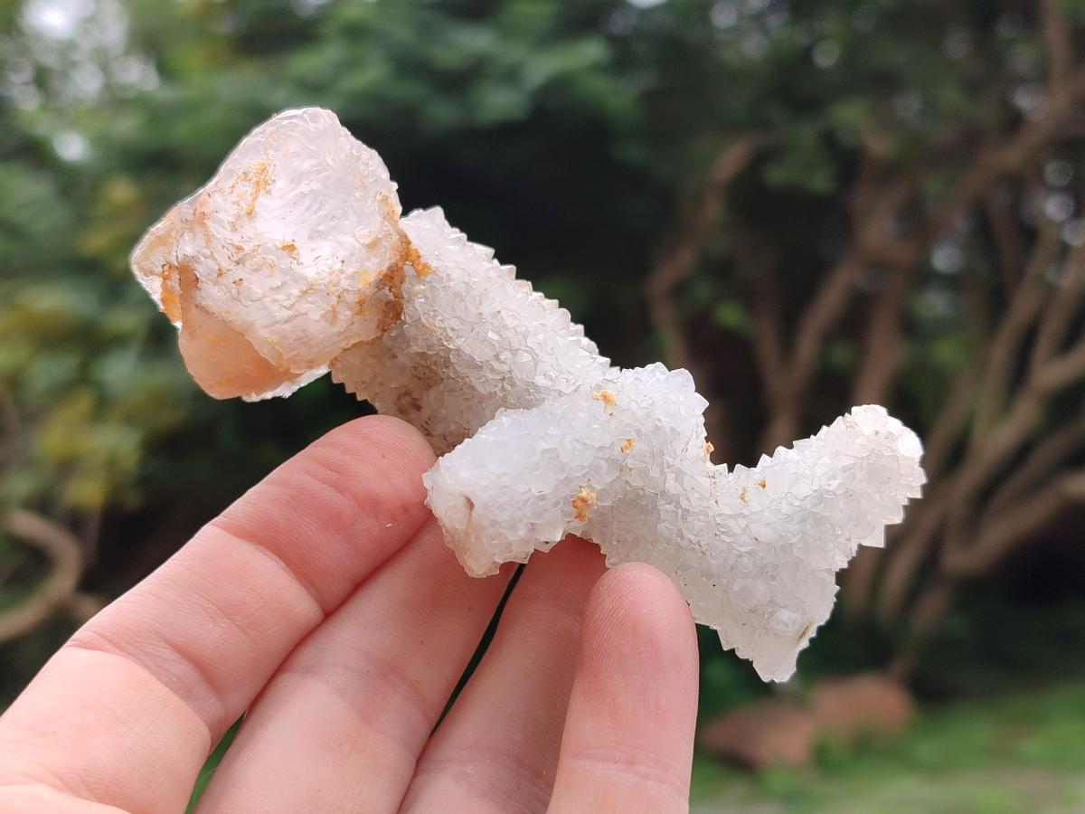 Natural Drusy Snow Finger Quartz Coated Clusters x 12 From Albert's Mountain, Lesotho - Toprock Gemstones and Minerals 