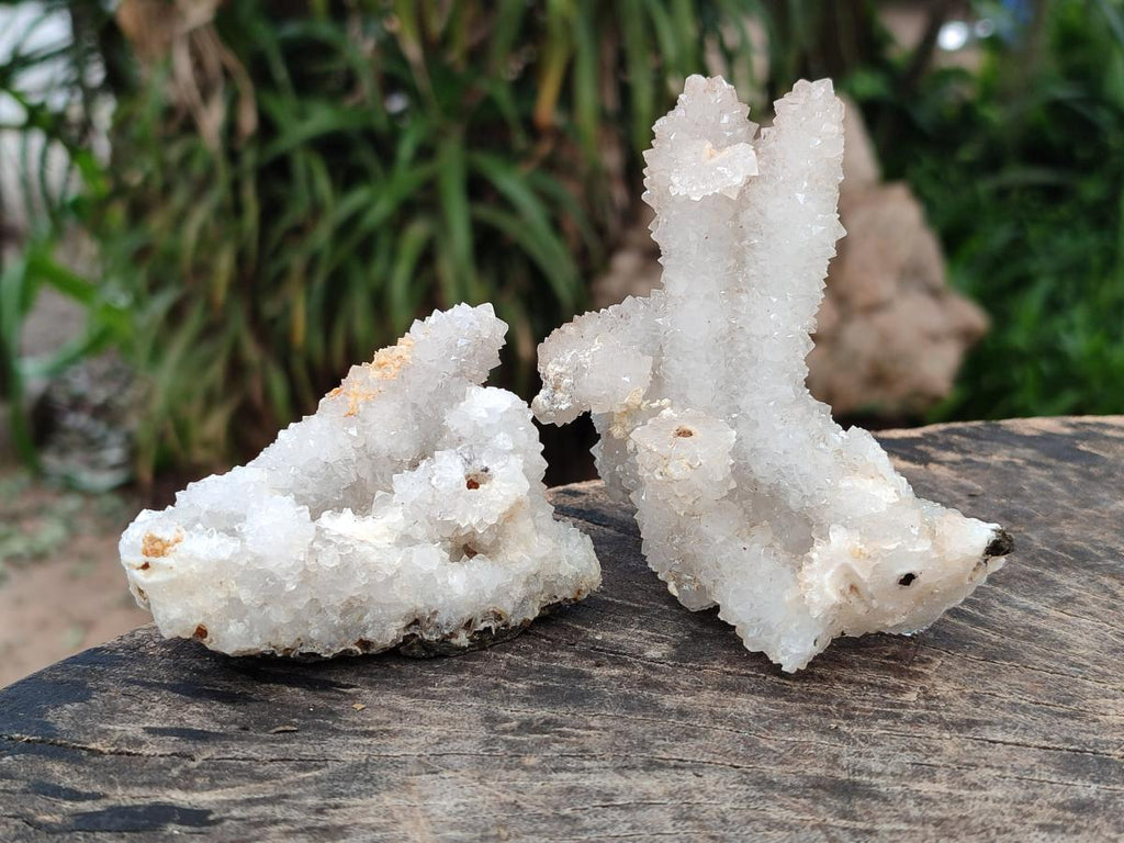 Natural Drusy Snow Finger Quartz Coated Clusters x 12 From Albert's Mountain, Lesotho - Toprock Gemstones and Minerals 