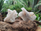 Natural Drusy Snow Finger Quartz Coated Clusters x 12 From Albert's Mountain, Lesotho - Toprock Gemstones and Minerals 