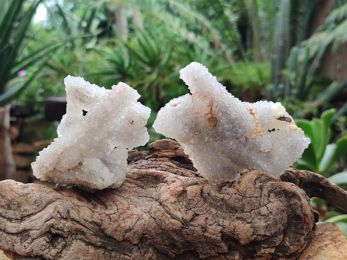 Natural Drusy Snow Finger Quartz Coated Clusters x 12 From Albert's Mountain, Lesotho - Toprock Gemstones and Minerals 