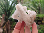 Natural Drusy Snow Finger Quartz Coated Clusters x 12 From Albert's Mountain, Lesotho - Toprock Gemstones and Minerals 