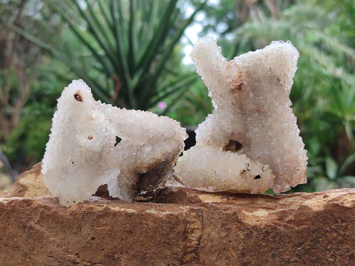 Natural Drusy Snow Finger Quartz Coated Clusters x 12 From Albert's Mountain, Lesotho - Toprock Gemstones and Minerals 